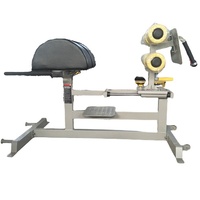 Support croisé professionnel, extension à l'arrière, pour entraînement physique, Cardio, avec fauteuil romain, 1 pièce, offre spéciale, 2022