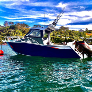 Nuevo Diseño de Barco de Pesca Profisher de Aluminio de <span class=keywords><strong>6</strong></span> <span class=keywords><strong>Metros</strong></span> con Amplia Cabina Abierta en Venta - Product Image 1