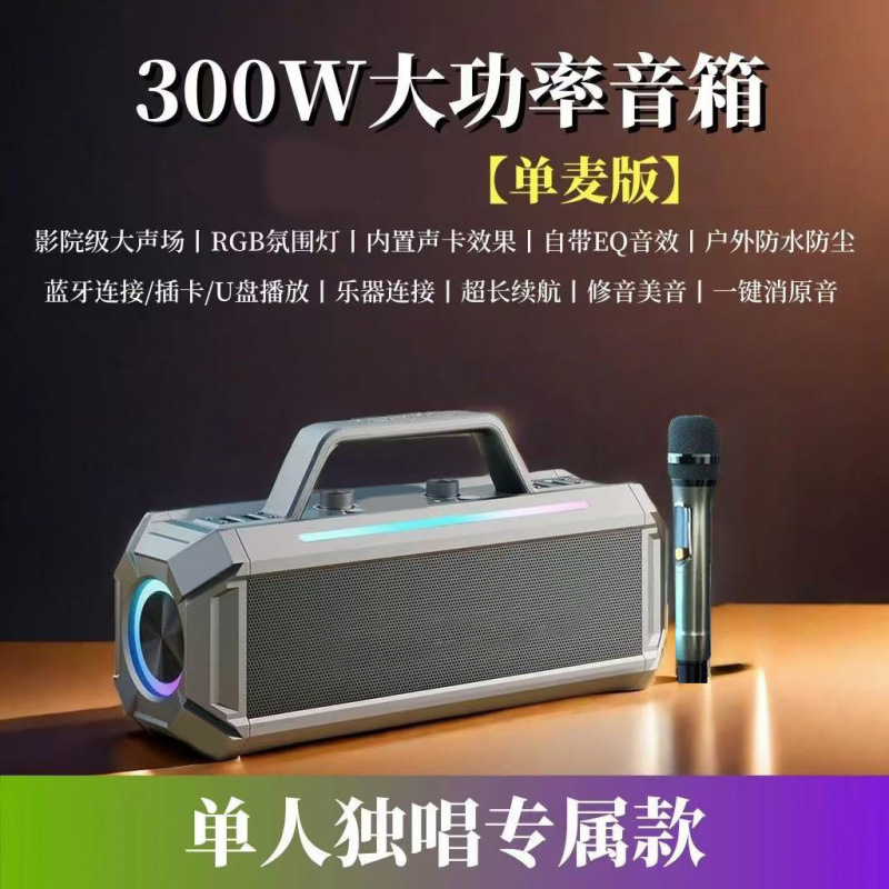 Audio karaoké extérieur + microphone unique