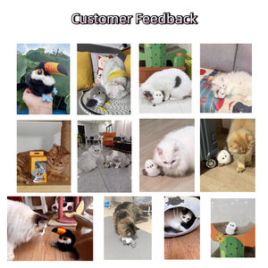 Jouet pour chat en peluche le plus vendu, oiseau réaliste à son électrique, interactif, écologique, <span class=keywords><strong>anti</strong></span>-<span class=keywords><strong>ennui</strong></span>, fournitures pour animaux de compagnie - Product Image 5
