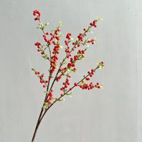 Kunstmatige kleine bessen lange tak, duindoornvrucht, fruitrank, bloemaccessoires, bloemendecoratie