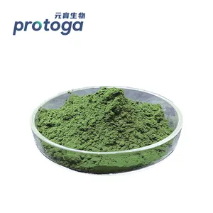 Protoga Factory Price Healthy Organic Chlorella Pyrenoidosa Powder Manufacturer