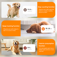 Localizzatore GPS per Animali Domestici Impermeabile con Recinto Virtuale