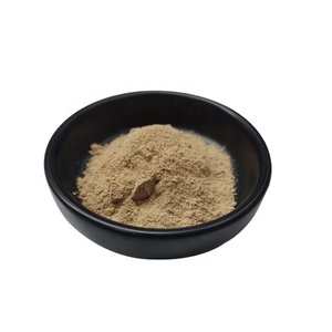 Suministro <span class=keywords><strong>de</strong></span> Extracto <span class=keywords><strong>de</strong></span> Raíz <span class=keywords><strong>de</strong></span> <span class=keywords><strong>Maca</strong></span> Negra 100% Puro Sin Aditivos <span class=keywords><strong>en</strong></span> <span class=keywords><strong>Polvo</strong></span> - Product Image 1