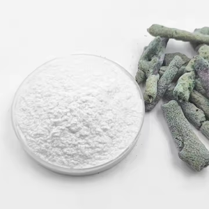Poudre d'extrait végétal blanc à 99 % de spicules d'éponge pour gommage facial cosmétique, ingrédient exfoliant naturel Spongilla pour soins de beauté - Product Image 2