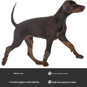 Sabuk Bantu Hewan Peliharaan Modern yang Dapat Disesuaikan, Desain Non-Retraktable dengan Strip Tulang Logam, Pelindung Tempurung Lutut Anjing Kucing, Bahan Poliester untuk Kaki Belakang - Product Image 3