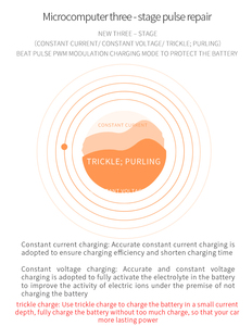Caricabatterie e-bike 48 v20ah - Product Image 5
