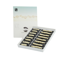 Dents Artificielles en Résine Acrylique, Incisives et Molaires, Prothèse Dentaire Antérieure Postérieure