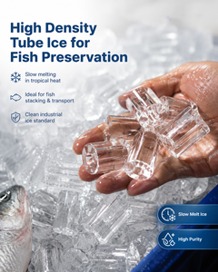 Máquina <span class=keywords><strong>de</strong></span> Hielo en Tubo Pecold <span class=keywords><strong>de</strong></span> 3 Toneladas para Mercado <span class=keywords><strong>de</strong></span> Pescado en Indonesia con Opción <span class=keywords><strong>de</strong></span> Almacenamiento <span class=keywords><strong>de</strong></span> Hielo y Trituradora <span class=keywords><strong>de</strong></span> Hielo - Product Image 6