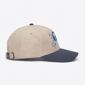 Wholesale T&L Custom Logo Printed Structured 6-Panel Adjustable Baseball Cap Cotton Twill <b>Dad</b> <b>Hat</b> - Product Image 3