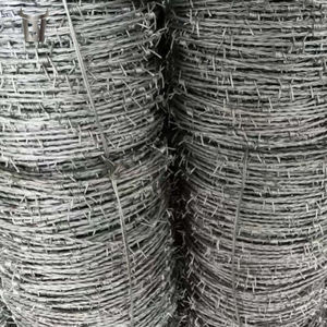 Steel Bull China Factory <span class=keywords><strong>Alambre</strong></span> <span class=keywords><strong>de</strong></span> púas <span class=keywords><strong>de</strong></span> alta calidad <span class=keywords><strong>Alambre</strong></span> <span class=keywords><strong>de</strong></span> afeitar Acero galvanizado para granja y jardín Valla <span class=keywords><strong>DE</strong></span> SEGURIDAD <span class=keywords><strong>Alambre</strong></span> <span class=keywords><strong>de</strong></span> púas - Product Image 6