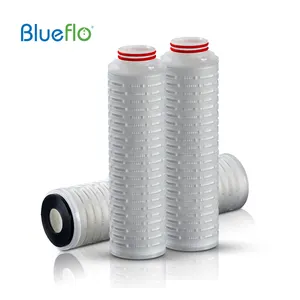 Zhejiang Hangzhou PES Filters Sterile Filter Membrane Pleated 0.45 Micron 10'' 226 Fin Cartridges