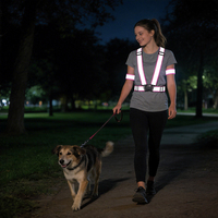 Kit de sécurité réfléchissant tout-en-un : Gilet, sangles de bras, pochette de voyage – Expédition rapide en 7 jours, prêt pour les uniformes d'équipe (OEM) CT31251