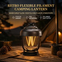 Lanterne de camping LED rechargeable à intensité variable, charge Type-C, lampe de tente portable, lampe d'urgence extérieure