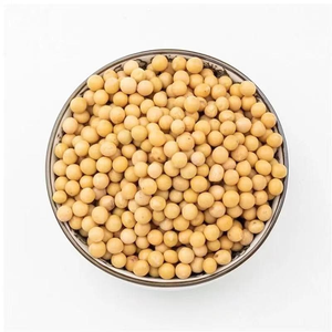 Soja de Tanzania, Sin GMO, Alto Contenido Proteico, Grado A, Soja Cruda, Suministro a Granel - Product Image 6