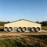 Poulailler préfabriqué en acier haute résistance pour l'élevage de poulets de chair avec ventilation intégrée pour une utilisation à long terme dans l'industrie zootechnique
