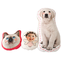 Coussin en peluche personnalisé à motif sur mesure 45x45cm, style anime, pour chien et chat, écologique, idéal pour la maison et l'hôtel, directement de l'usine