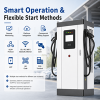 Station de recharge DC double pistolet pour véhicules électriques, 160-320 kW, 200-1000 V, OCPP, IP54, fournisseur OEM pour projets de recharge routière et de flotte