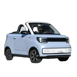 Wuling Miniev Roadster Open-Top Elektrische Voertuig Twee Mensen Live De Sportwagen De Fashion Design Scootmobiel