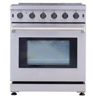 Cuisinière à Gaz Autonome 5 Feux avec Four à Gaz