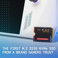 قرص صلب داخلي BIGBRAND_BLACK SN770M سعة 500 جيجابايت M.2 2230 NVMe SSD بواجهة PCIe الجيل الرابع بسرعة 5000 ميجابايت/ثانية بتقنية TLC 3D NAND لأجهزة الألعاب/الحواسيب المحمولة (ROG Ally)