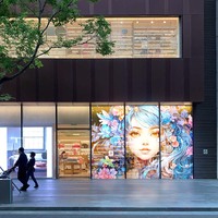 Pantalla LED de publicidad de pantalla LED de ventana de película adhesiva de tienda transparente alta para pared de ventana de vidrio y uso de ascensor
