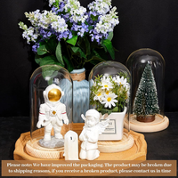 Cloche en verre transparente avec base, vitrine pour artisanat, plantes, lumières, succulentes, médailles, centre de table