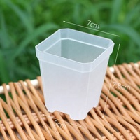 Pots de pépinière carrés transparents écologiques en plastique pour la plantation à la maison et au jardin