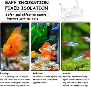 Factory-Customized Modern <strong>Acrylic</strong> <strong>Fish</strong> Breeding Boxes Transparent <strong>Acrylic</strong> <strong>Fish</strong> <strong>Tanks</strong> With Removable Design For Hatching <strong>Fish</strong> Fry - Product Image 5