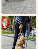 Juguete de Goma para Perros, Juego de Tira y Afloja, con Sonido, Ecológico, Diseño Moderno de Lujo con Cuerda Biodegradable