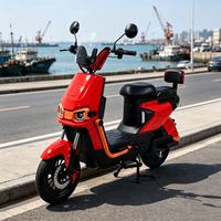 1000W Brushless Adult Electric Motorcycle & E Bike,Custom Motor&Color,China Factory,Convenient for Adult City Commuting