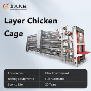 <span class=keywords><strong>Vente</strong></span> directe usine : Nouvelles cages automatiques pour poules pondeuses <span class=keywords><strong>en</strong></span> acier galvanisé à chaud de type H - Product Image 3