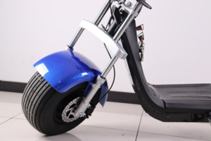 Scooter Eléctrico para dos discapacitados, scooter <span class=keywords><strong>schwinn</strong></span> s350 de 2021 vatios, con auto equilibrio, precio de rueda de 10 pulgadas y 12 pulgadas, 2000 - Product Image 4