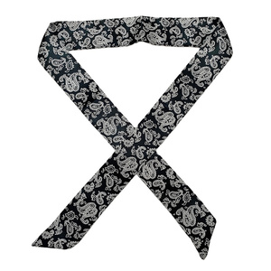 Cravate <span class=keywords><strong>Ascot</strong></span> en <span class=keywords><strong>soie</strong></span> bleue à motif floral Paisley pour femme, cravate en cachemire, cravate <span class=keywords><strong>Ascot</strong></span> pour mariage, écharpe <span class=keywords><strong>Ascot</strong></span> - Product Image 1