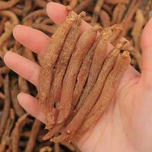 Красный корень женьшеня - Product Image 6