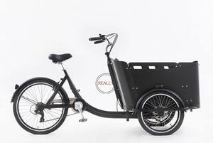 2025 nouveau Tricycle électrique à chargement frontal à 3 roues Transport Tricycle adulte avec caisse en bois vélo électrique <span class=keywords><strong>remorque</strong></span> de cargaison - Product Image 2