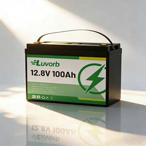 Paket Baterai Lithium Ion Lifepo4 12V 100AH 300AH 200AH Deep Cycle Lipofe4 <span class=keywords><strong>Solar</strong></span> 12.8V 12V 24V 100 300 200 Ah - Product Image 1