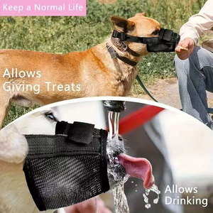 Mesh Dog Muzzle Anti-Biting Anti-Barking Anti-Scavenging Breathable for Small Medium Dogs-Yilin Pet Made in China - Product Image 4
