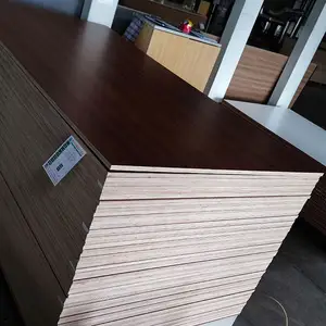 Solid Wood Multilayer Board 18mm Plywood Manufacturer Supplies Melamine Furniture Board Eucalyptus Poplar Plywood