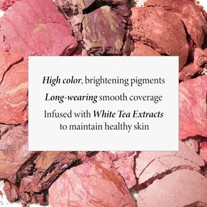 <span class=keywords><strong>Laura</strong></span> Geller Bronze-n-Brighten Highlighter Pressed Powder Brightening Fair Shade - Petites commandes acceptées - Product Image 5