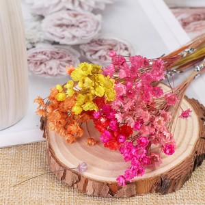 L12 Fiori Secchi Naturali Mini Stella del Brasile YUNNAN per Resina Epossidica, Arte, Unghie, Sapone, Candele Profumate - Collezione Terra - Product Image 4