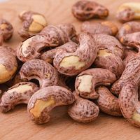 Bulk groothandel AD verwerkte geroosterde cashewnoten met paarse schil gedroogd fruit