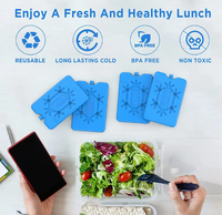 Vente chaude HDPE Réutilisable Gel Congélateur Glace Mini Grand Bloc De Glace Boîte Glacière Boîte À Lunch Glace Brice Pour Le Stockage Des Aliments
