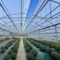 Serres commerciales Gutter Connect, serres personnalisées en Chine pour la plantation, serres agricoles