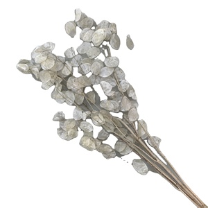 Lussuoso Bouquet di Fogliame Essiccato e Conservato, Lunaria Annua per Decorazioni Domestiche - Product Image 1