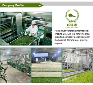 Bolsitas de té orgánicas Yerba <span class=keywords><strong>Mate</strong></span> Enfoque de energía Mejora Alternativa saludable a la cafeína - Product Image 5