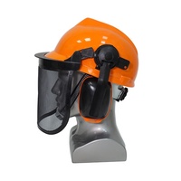 Casque de sécurité industriel forestier avec écran facial et visière en maille de fer en PE JKT HS3025-A