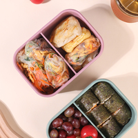 Boîte à lunch en silicone à 2 compartiments avec logo personnalisé, qualité alimentaire, compatible micro-ondes et lave-vaisselle, chauffable, empilable, pour la maison et le bureau, OEM/ODM
