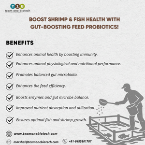 Aliment probiotique pour l'aquaculture, complément essentiel pour la santé et le bien-être des poissons - Product Image 1