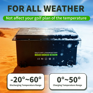 Paquete de Baterías Personalizable para Carrito de Golf de 48V 51.2V 65Ah 100Ah 105Ah 200A con BMS Inteligente, 6000 Ciclos, 76.8V, LiFePO4, Iones de Litio, Varios Colores - Product Image 4